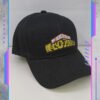 Gorra My Hero Academia, Logo