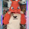 Buzo de Friza Pokemon, Charizard
